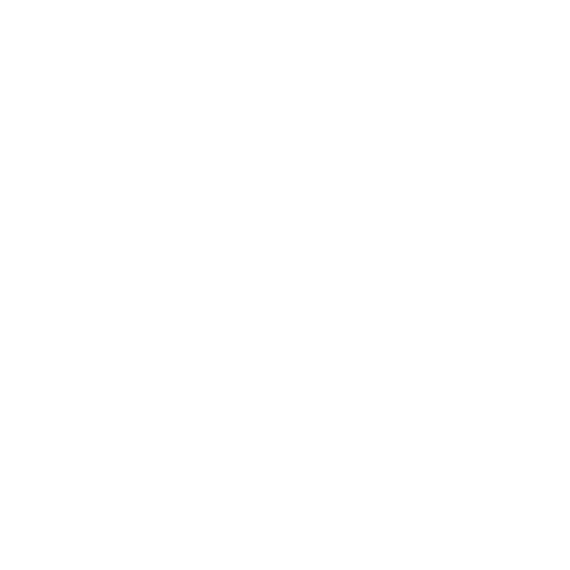 Icon depicting documents with checkmarks next to a gear and wrench, symbolizing settings or configuration options.